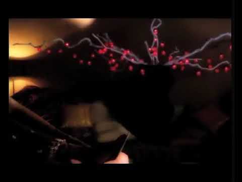 Brand New Day - Lebo Mathosa