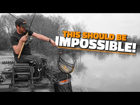 How Did Middy Do THIS???