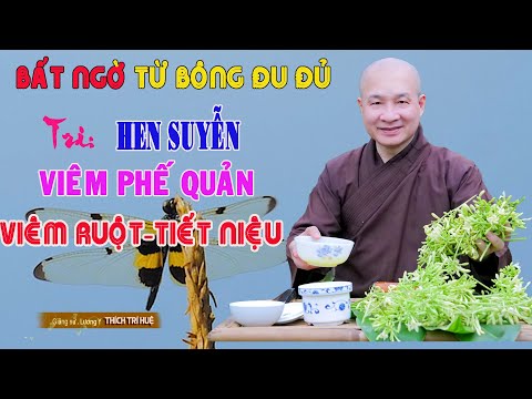 Trị hen suyễn, Viêm phế quản