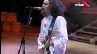 huevos revueltos discojapi viejo diablo - chancho en piedra