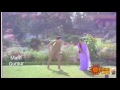 Kirayi Alludu 1984 Movie Song Super Star Krishna