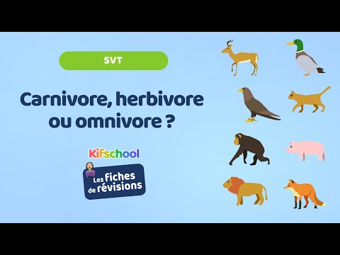 Es-tu un carnivore, herbivore ou omnivore - Niveau CP