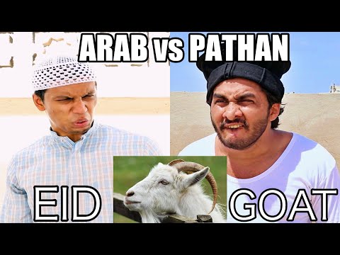 PATHAN VS ARAB *BUYING EID GOAT*