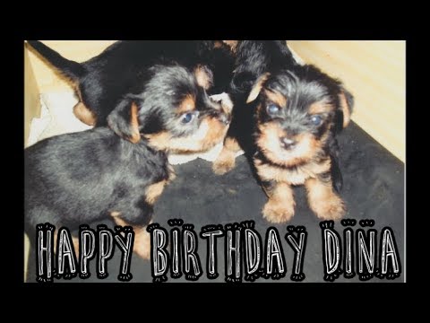 HAPPY BIRTHDAY DINA!