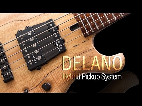 Delano Hybrid Pickup System - Maruszczyk Frog Omega 4a Headless