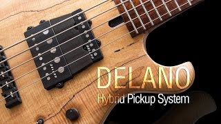 Delano Hybrid Pickup System - Maruszczyk Frog Omega 4a Headless