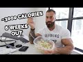 EVERYTHING I EAT IN A DAY 8 WEEKS OUT THE OLYMPIA + MACROS