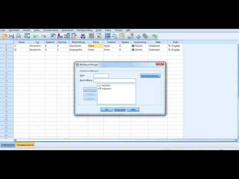 Dateneingabe in SPSS und erste Häufigkeitsauszählung