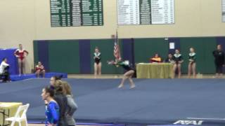 Jordan Peloquin - Pilgrim Harvest 2016 / FX