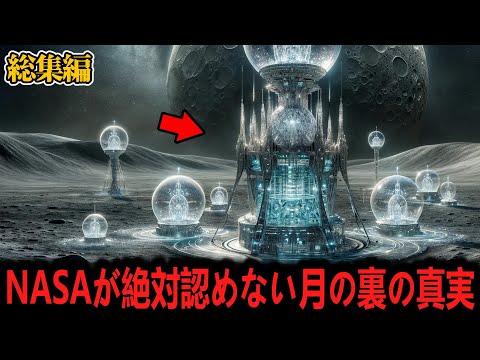 1998 年 1 月に北アメリカ北東部で起きた大規模な氷嵐