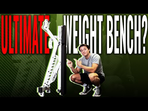 Die beste Hantelbank von REP? – Testbericht zur REP Fitness BlackWing Hantelbank (2023)