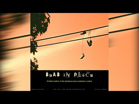 Dead in Place (The Lost and Found Forever Files) by Little Lamboy