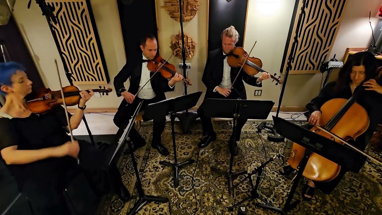 Promotional video thumbnail 2 for Sonorous Strings