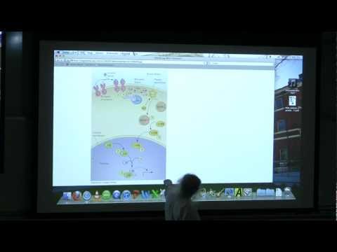 #23 BB 350 Immune System, Oncogenes, Energy - Kevin Ahern's Biochemistry Online