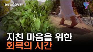 지친 마음을 위한 회복의 시간 | 매거진 Y 29-2화