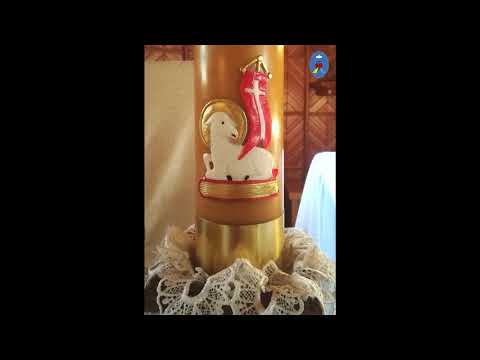 Pustelnia 05.04.2021 - Kazanie o. Daniela (Mt 28, 8-15)