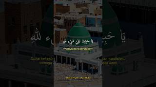 Download lagu Ya Habibana Ali Syailillah - Majelis Ar Raudhah Lil Habib Novel Alaydrus #yahabibana #status mp3