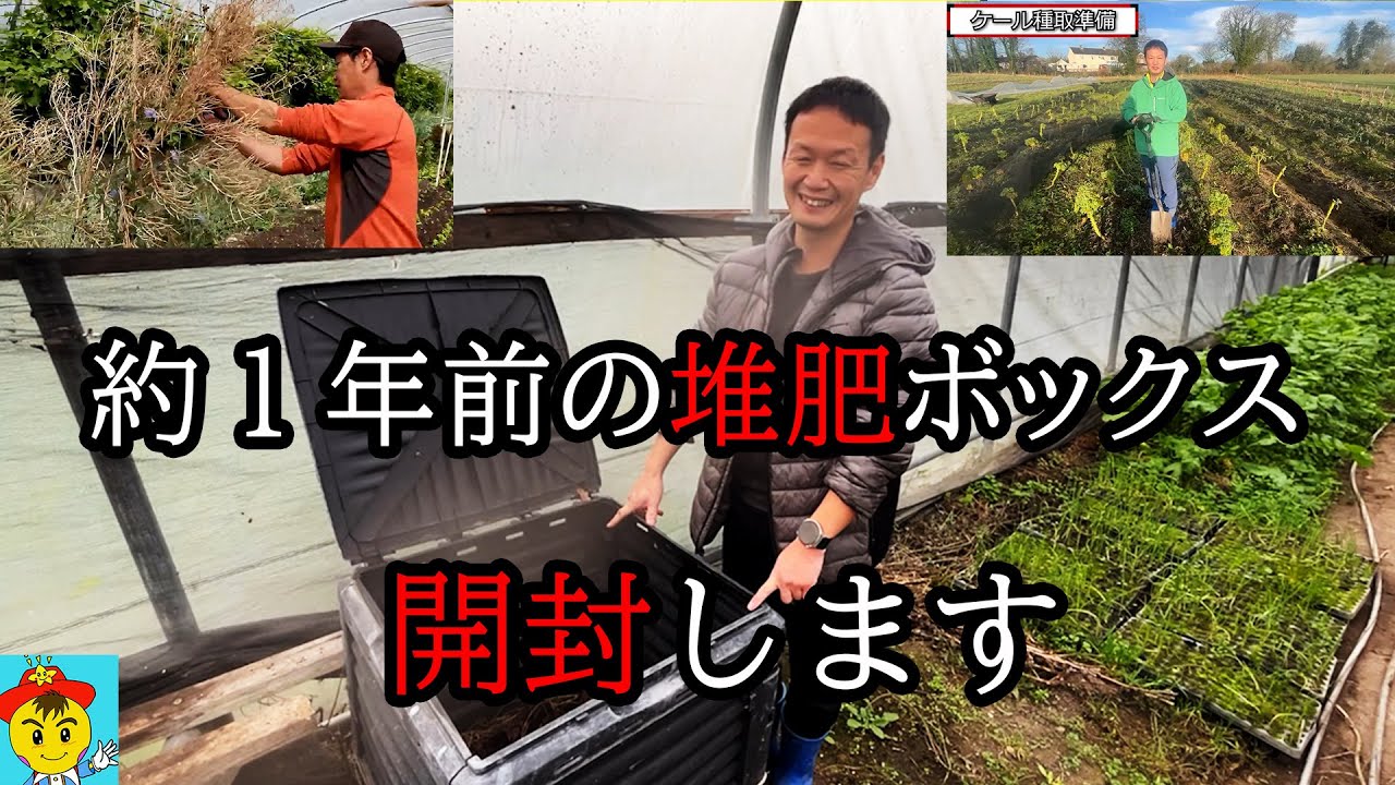 冬の自然農法:種取り・堆肥・草の観察