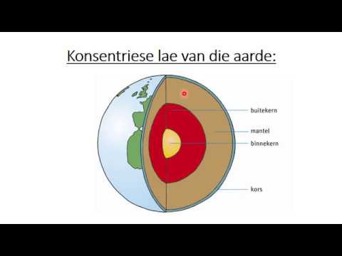 LEWENSWETENSKAP GRAAD 9: 18 Mei 2020 - periode 7 (18097)