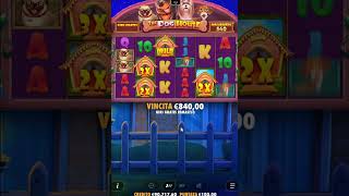 🔞🐶 The Dog House BIG WIN! 💰 Pragmatic Play Slot 🎰🔥