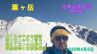 粟ヶ岳 （新潟県）　【日本三百名山】　日本山歩日記　2025年4日5日