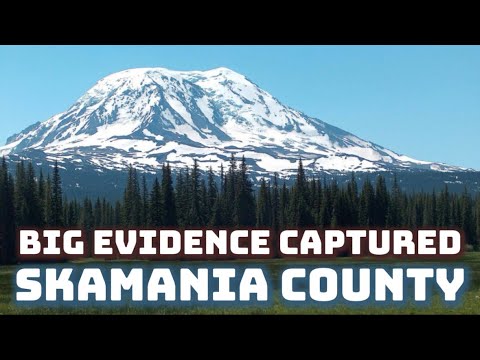 Mt. Adams Bigfoot Exploration New Evidence & Research | Sasquatch Encounters | New Documentary 2025