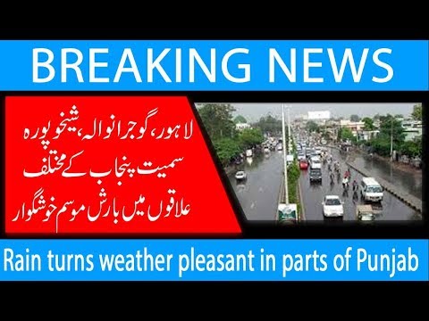 Rain turns weather pleasant in parts of Punjab | 11 July 2019 | 92NewsHD