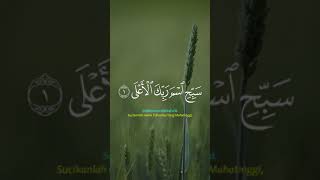 Download lagu Manfaat surah Al A'la InsyaAllah mendapatkan pahala sepuluh kebaikan dengan hitungan setiap huruf mp3