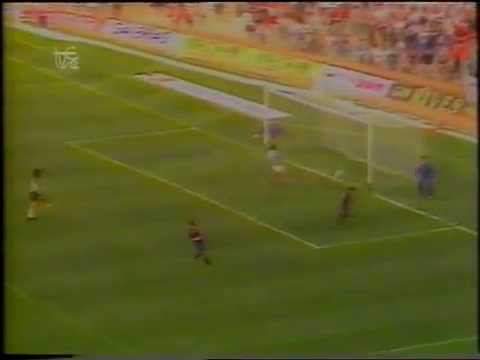 Barcelona 3 - Celta de Vigo 1 (Liga 1988/89)