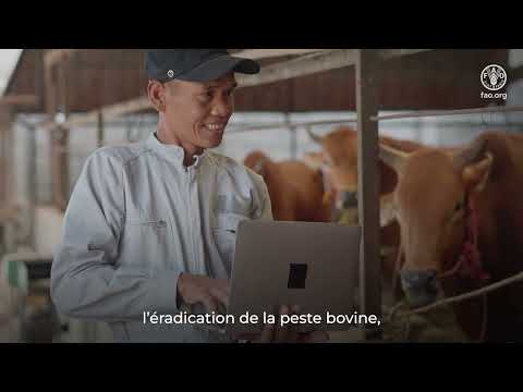 GPP-TAD : un nouveau modèle d’investissement pour la santé animale mondiale