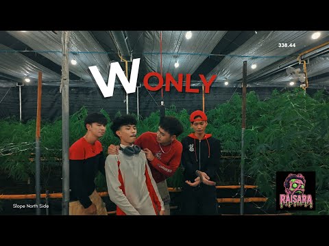 Slope North Side - Wonly