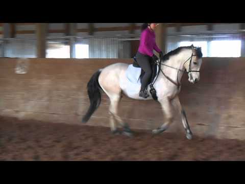 Sunny schooling canter 12 12 2015