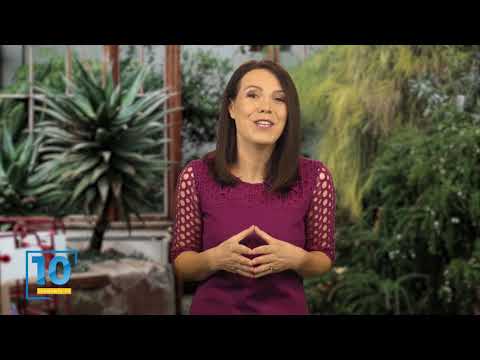 Lavinia Stefan - 10 ANI DE SPERANTA TV