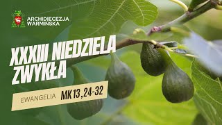 SŁOWO NA NIEDZIELĘ - 17.11.2024 r. - Abp Józef Górzyński