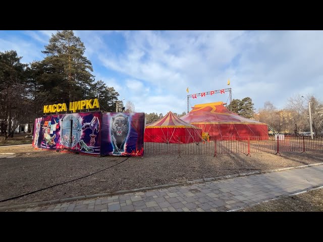 Небезопасный цирк