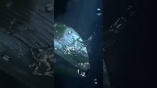 Download lagu Chocolate Goodie Live: BIGO live Mon-Fri 9am CST mp3