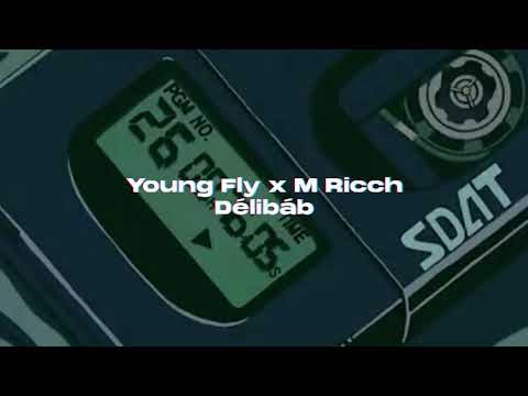 Young Fly x M Ricch - Délibáb (slowed + reverb)