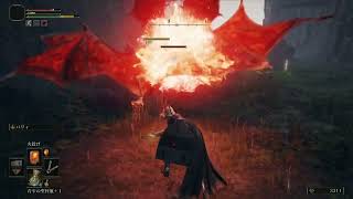 【狂い火get!!】ELDENRING初見実況プレイ＃14【ルーンベア】
