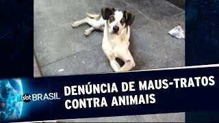 Miniatura do vídeo