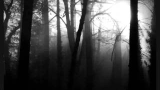 Black Autumn- Paradigma