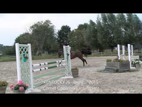 Kentucky, Cornet Obolensky x Jumpilot, mare, °2015, Belgian Horse Trading