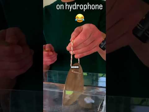 Sekret dźwięku w słonej wodzie🤯