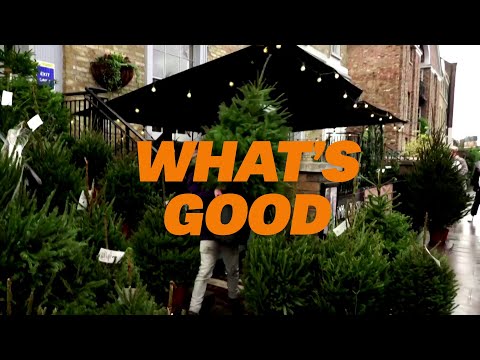 什麼是好消息?本週好消息綜述 (What’s good? A roundup of this week’s good news)