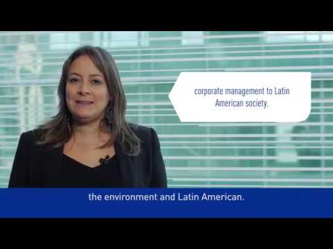 Dow Jones Sustainability Index | Vibepedia