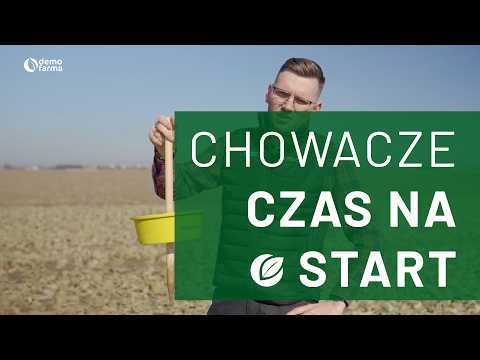 Film na temat: { video.title }}