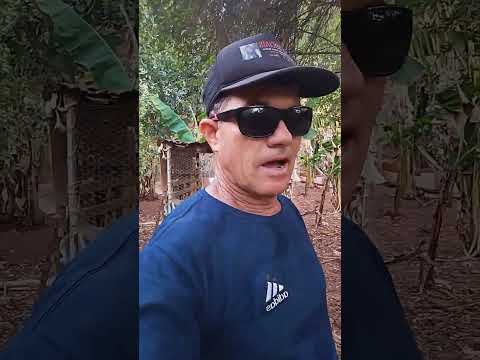 Éu na minha casa junto com a natureza conversando com meus amigos internautas Aragarças Goiás 