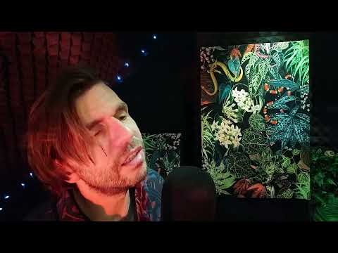 Limboski - "Shame" ( PJ Harvey )