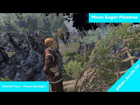 ESO Housing:Tamriel Tours Spotlight Elder_scrolls-TV Moon Sugar Meadow