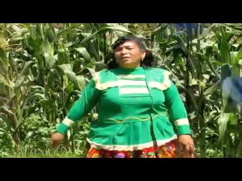 Retamita del peru "El Turuyo"