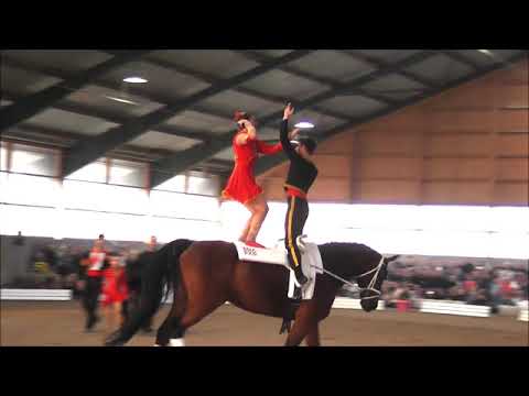 Voltigieren -Turnier Ingelsberg 2019 - Gruppe Ingelsberg 1